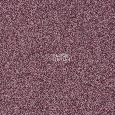 Ковровая плитка Interface Polichrome Stipple 4265024 Mulberry фото 1 | FLOORDEALER